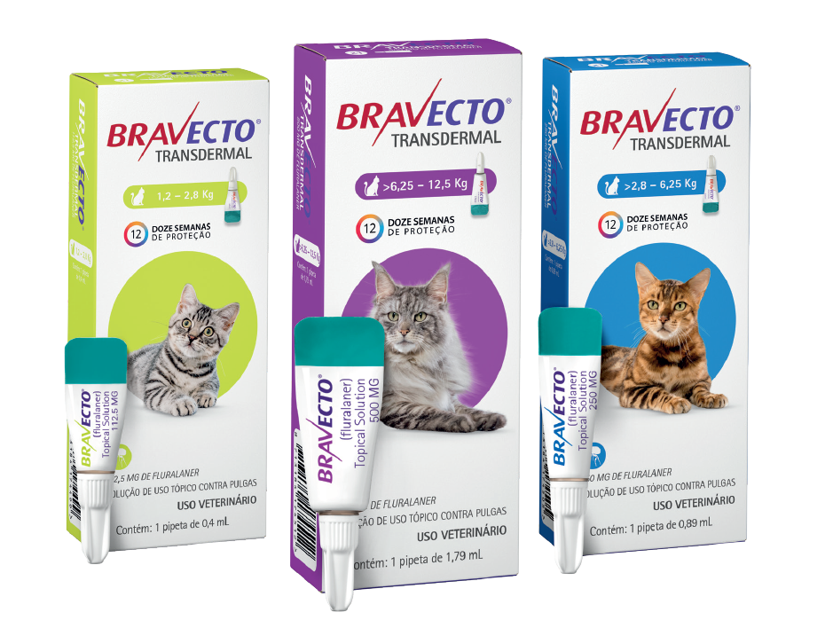 BRAVECTO® TRANSDERMAL GATOS - MSD Saúde Animal Brasil